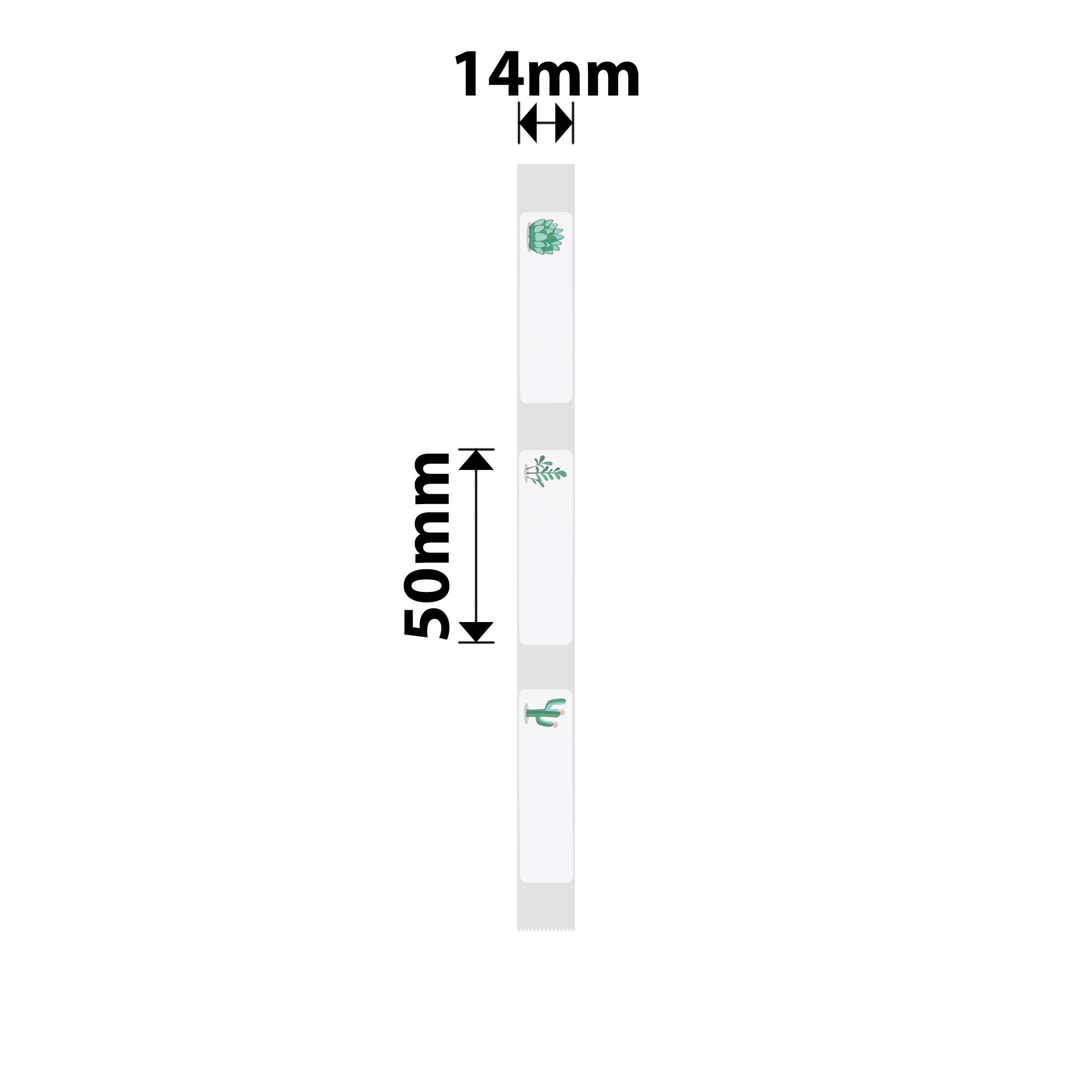 NB164 - NIIMBOT - D11 / D101 / D110 / H1S - 14X50MM - 130 LABELS PER ROLL - SUCCULENT A DESIGN