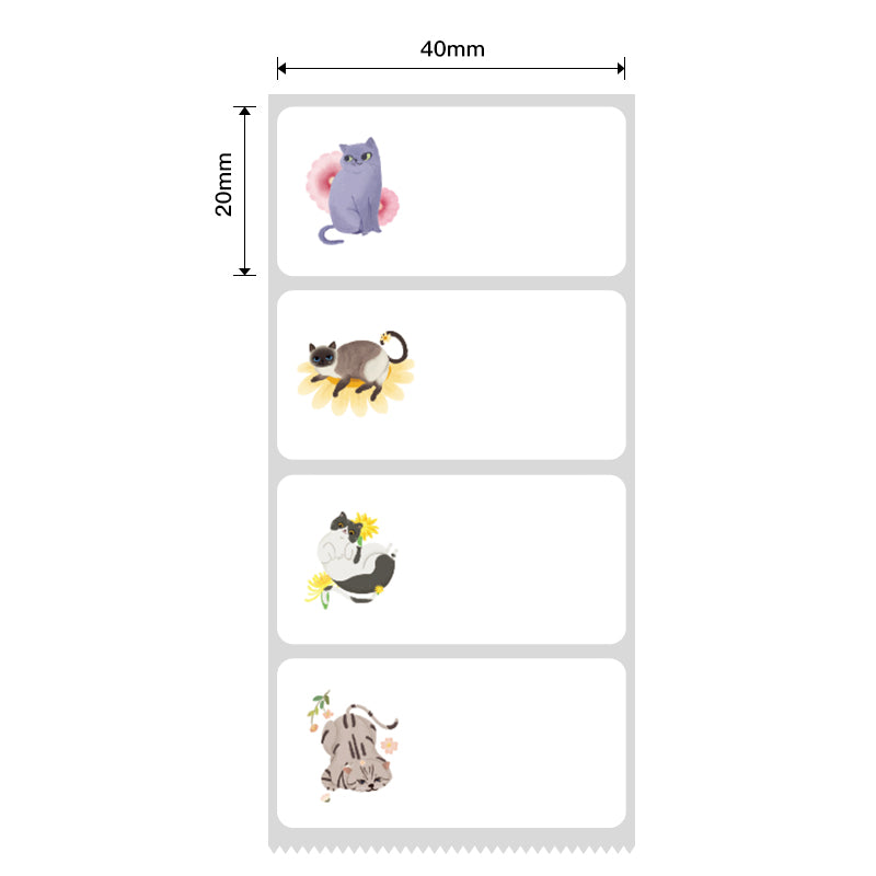 NB239 - NIIMBOT - B1 / B21 / B3S / B4 - 40X20MM - 320 LABELS PER ROLL - CAT DESIGN