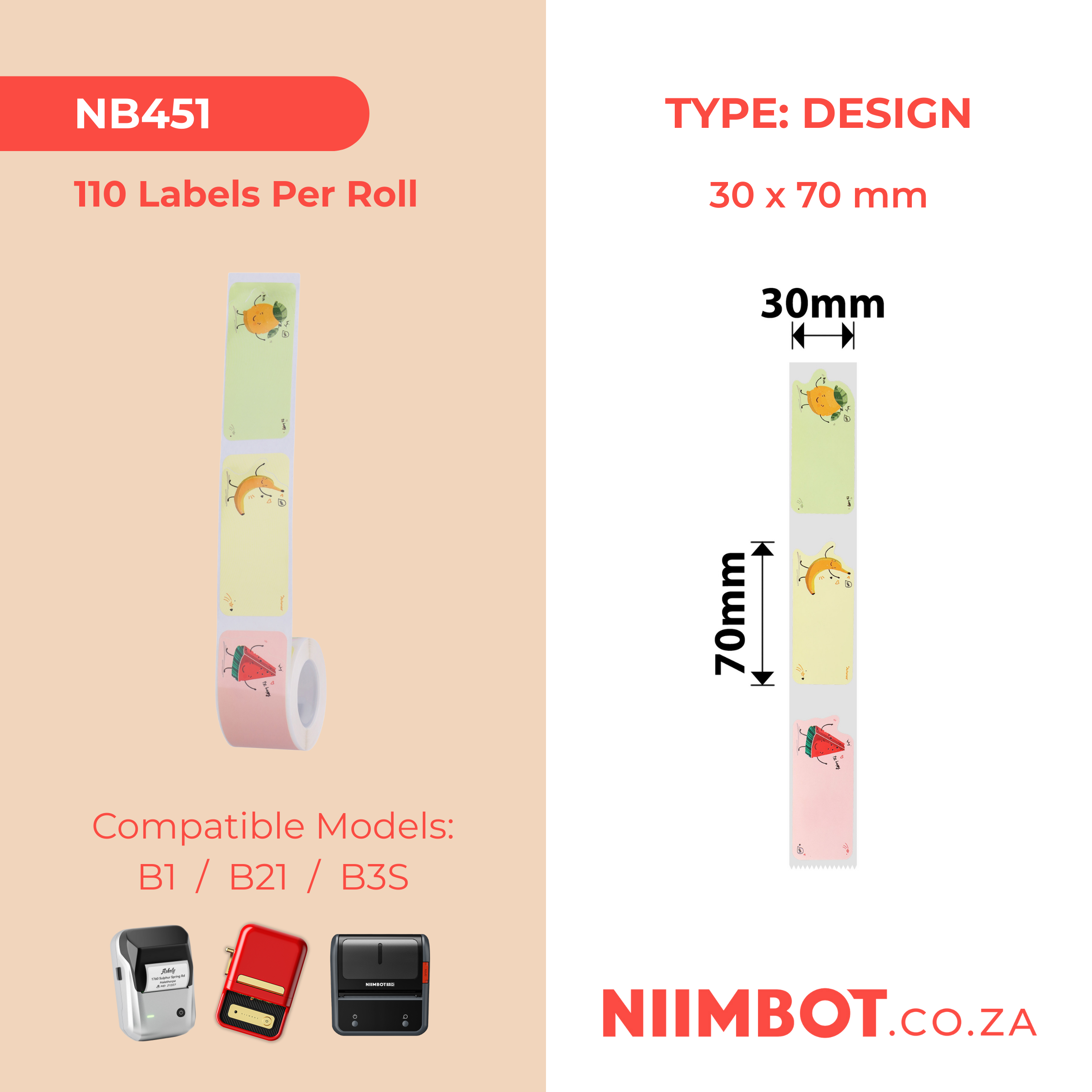 NB451 - NIIMBOT - B1 / B21 / B3S / B4 - T30X70MM - 110 LABELS PER ROLL - FRUITY PARTY DESIGN