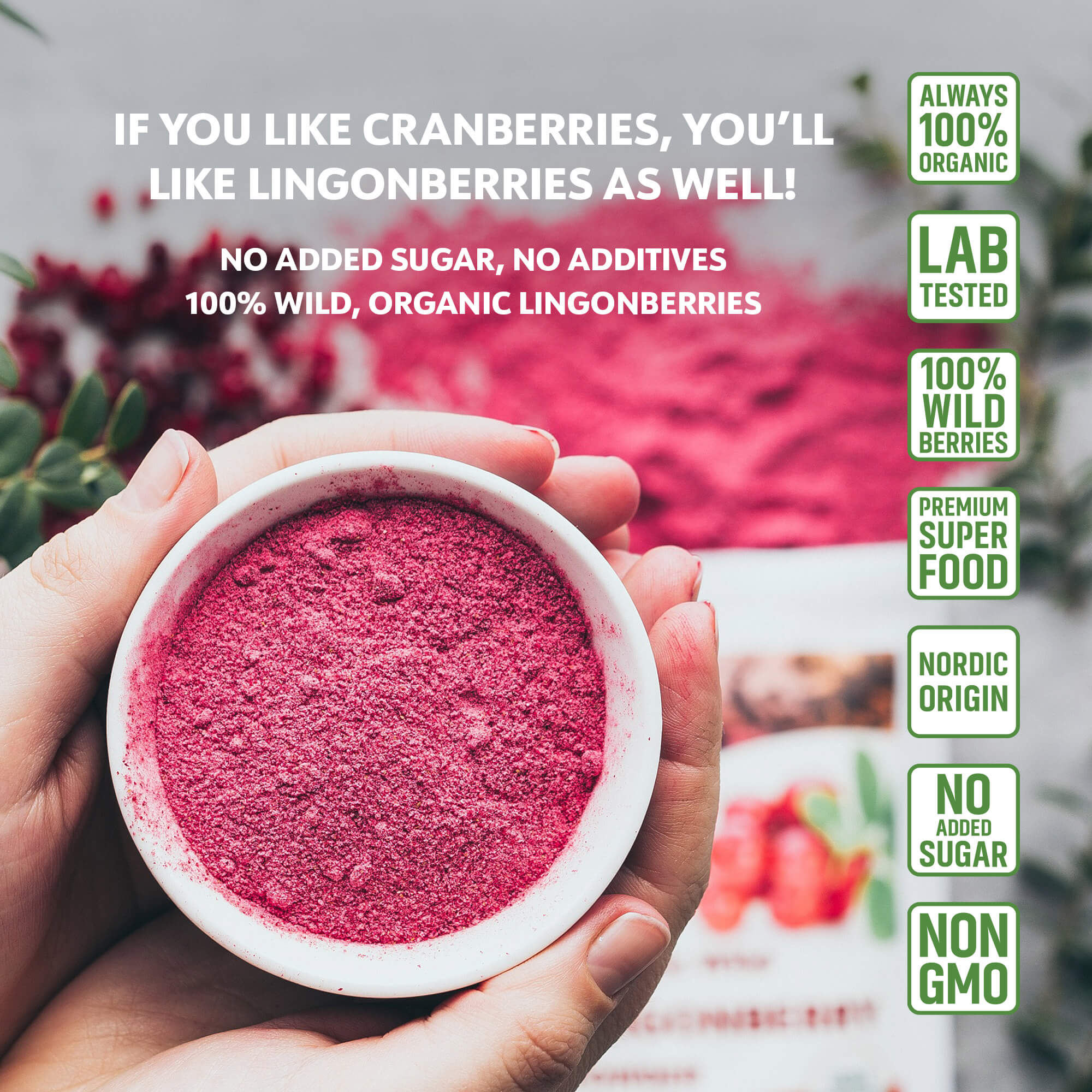 LOOV - ORGANIC WILD LINGONBERRY POWDER (FREEZE-DRIED) - 113G