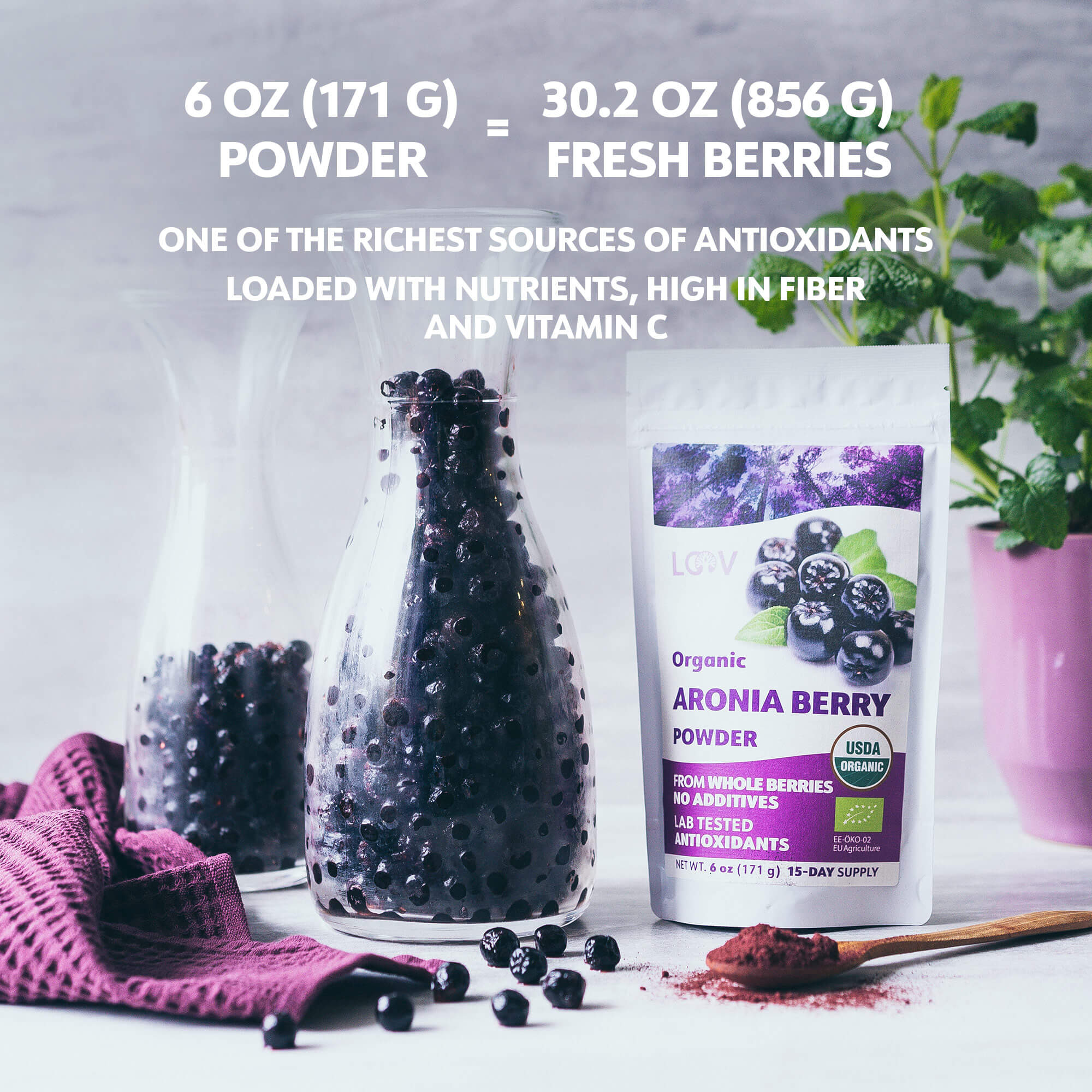 LOOV - ORGANIC ARONIA (CHOKE) BERRY POWDER (FREEZE-DRIED) - 171G