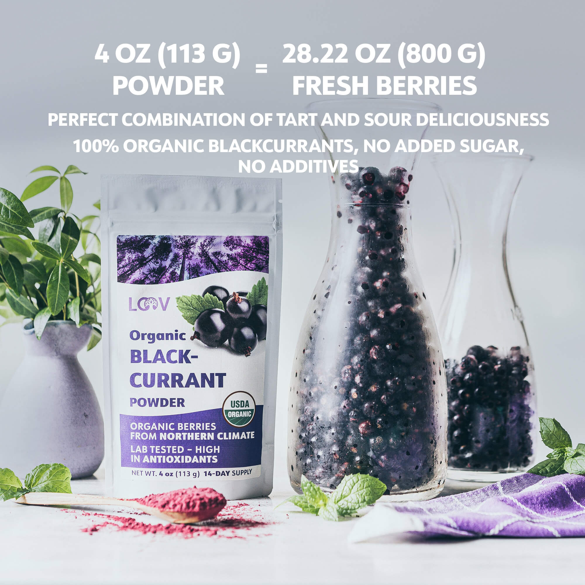 LOOV - ORGANIC BLACK-CURRANT POWDER (FREEZE-DRIED)
