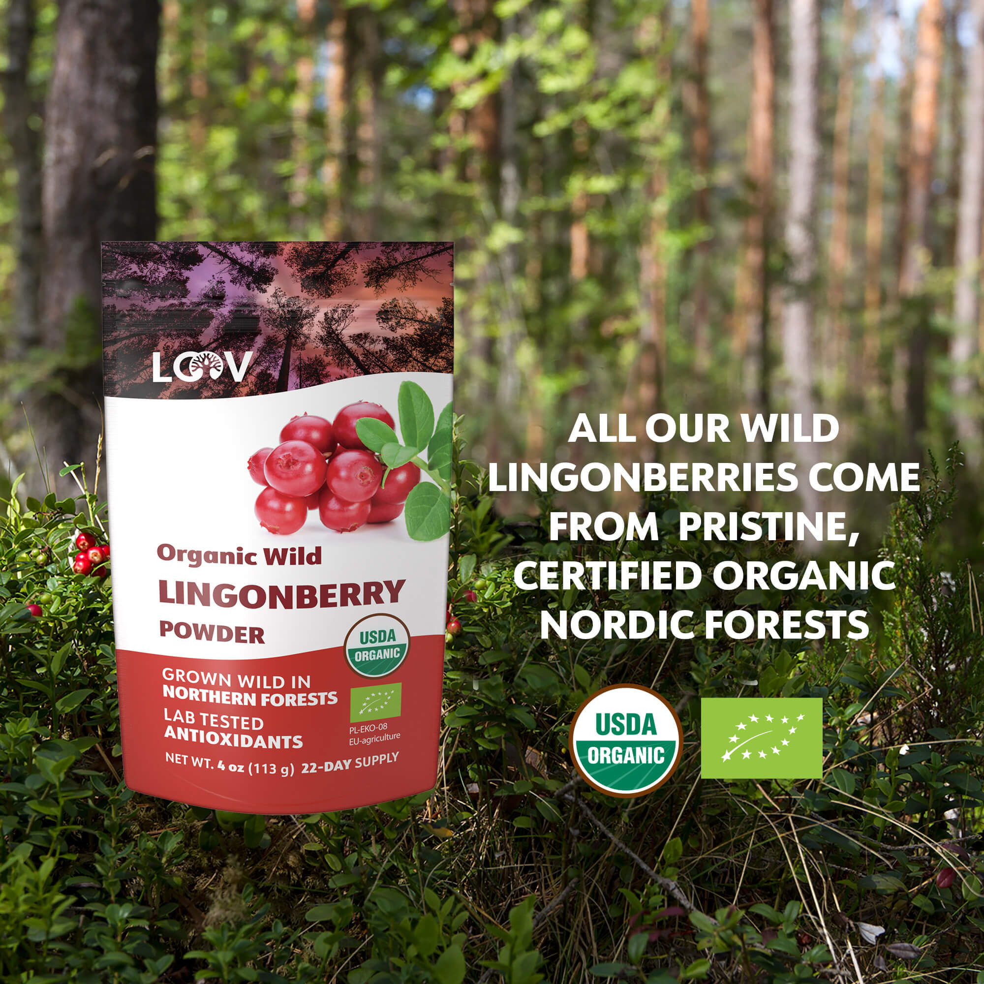 LOOV - ORGANIC WILD LINGONBERRY POWDER (FREEZE-DRIED) - 113G