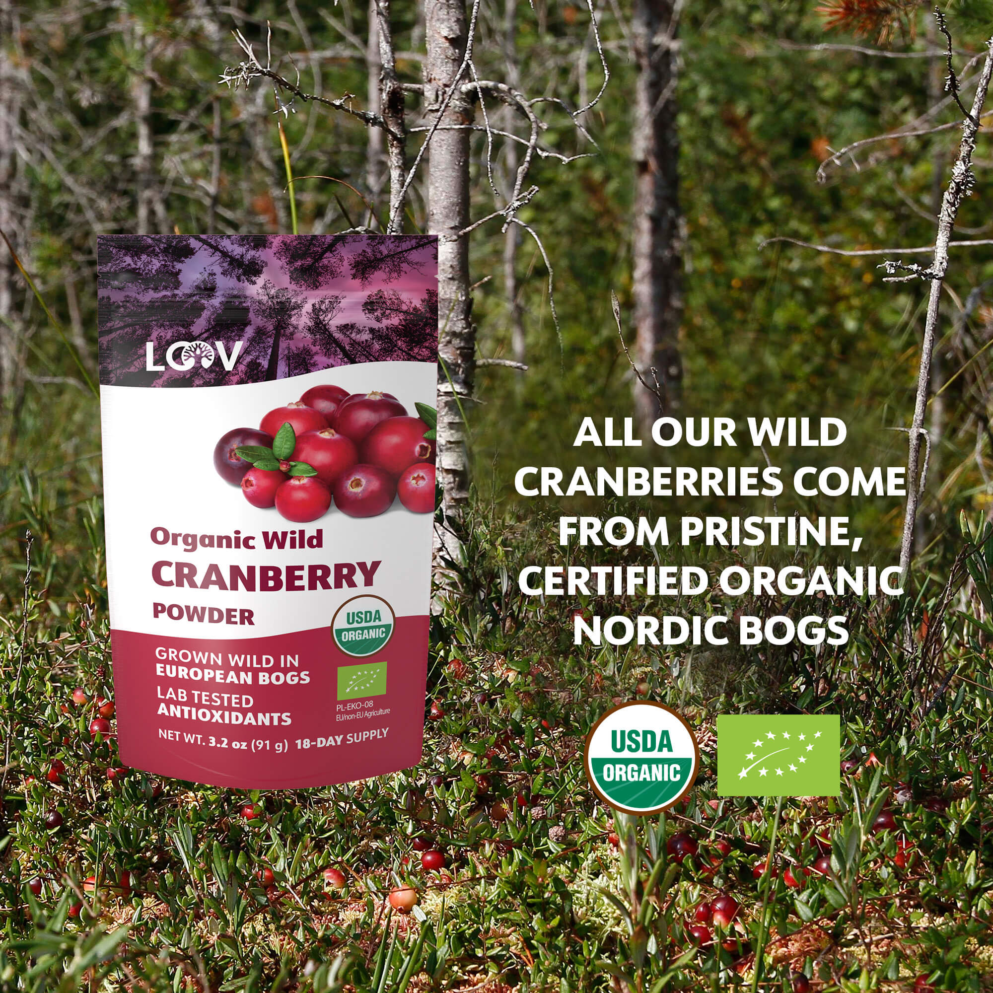 LOOV - ORGANIC WILD CRANBERRY POWDER (FREEZE-DRIED) - 91G