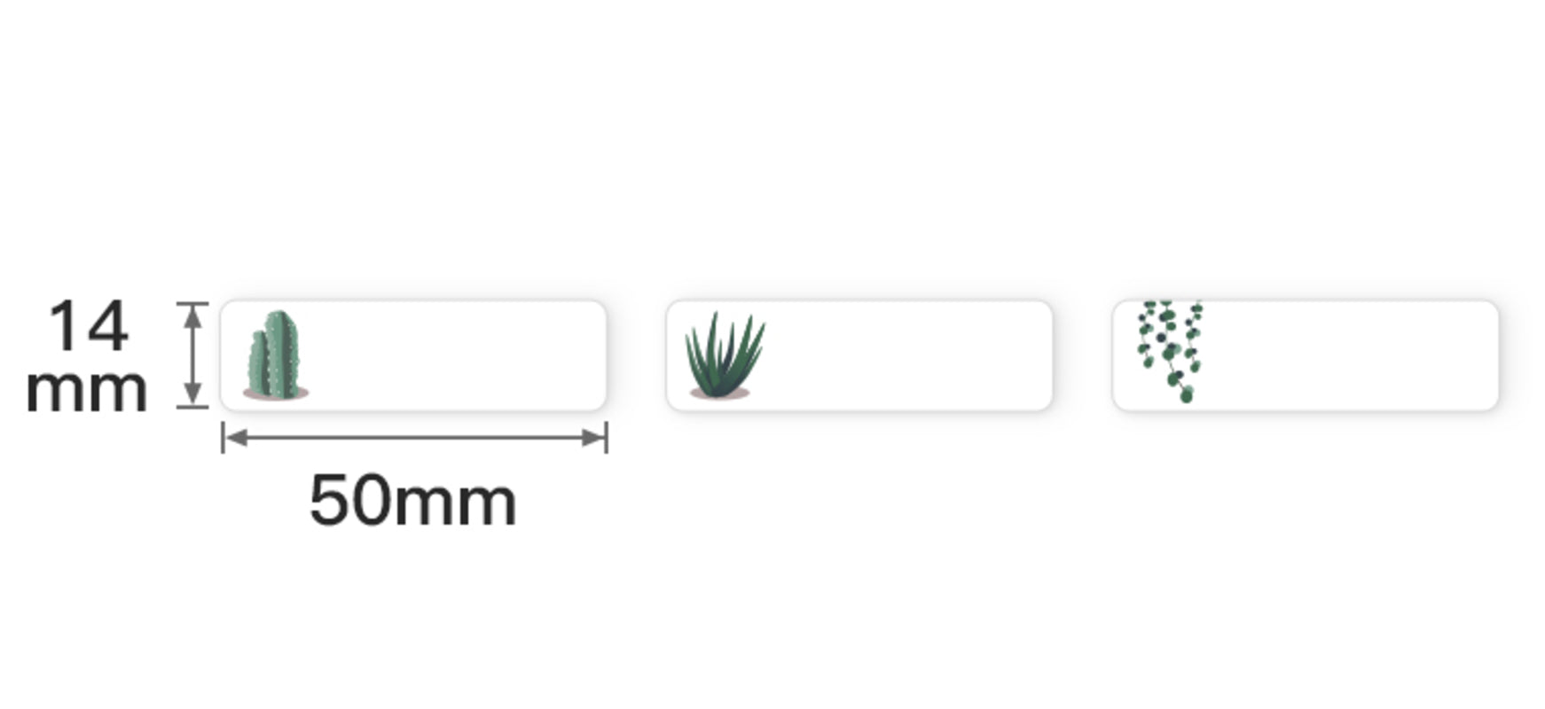 NB168 - NIIMBOT - D11 / D101 / D110 / H1S - 14X50MM - 130 LABELS PER ROLL - SUCCULENT B DESIGN