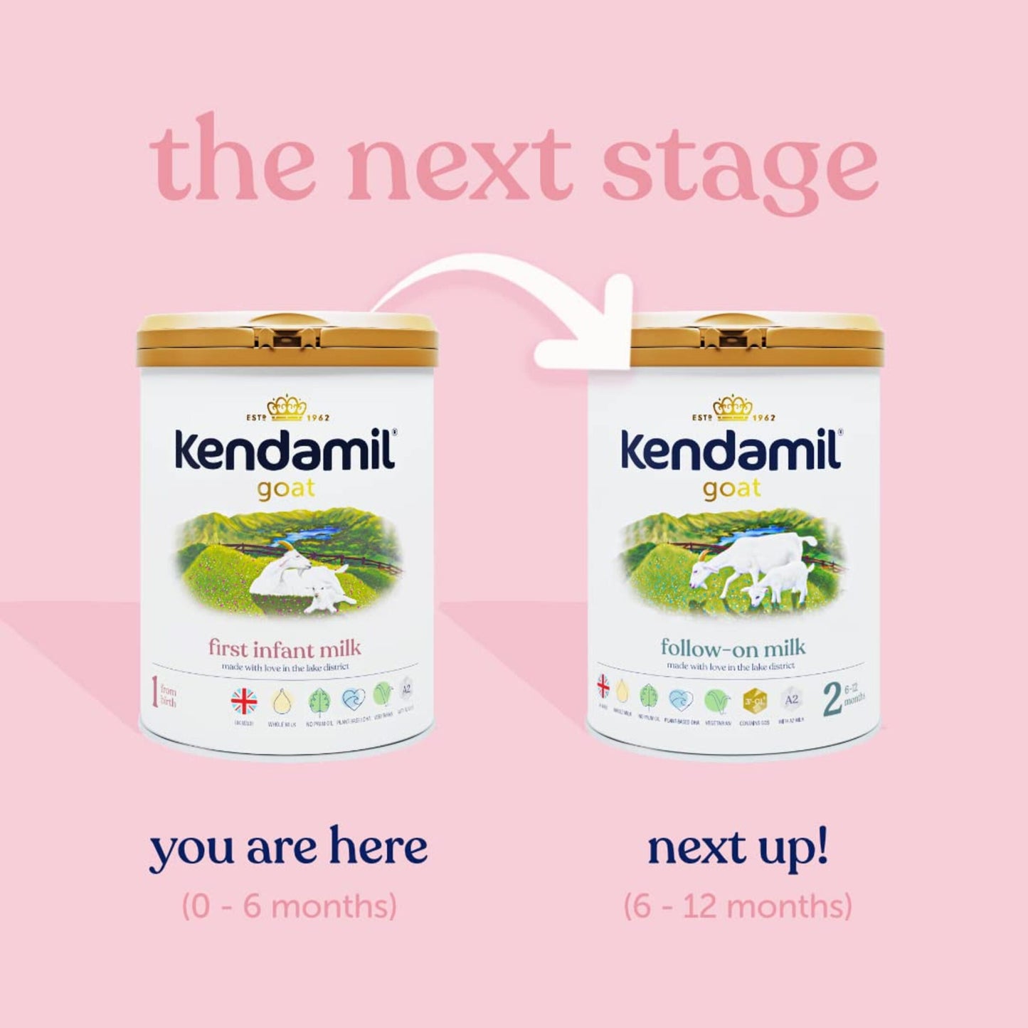 KENDAMIL - GOAT FIRST INFANT MILK BABY FORMULA - STAGE 1, 0-6 MONTHS, 800G