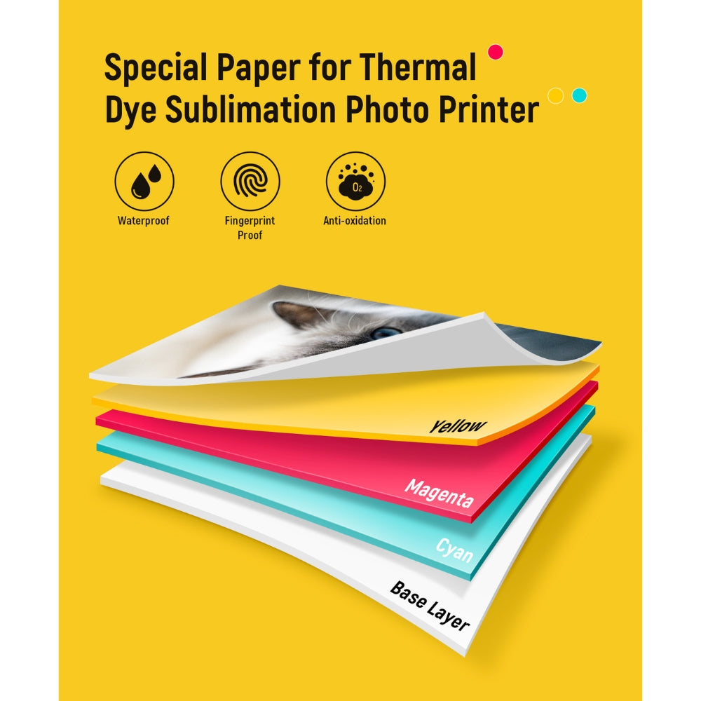 LIENE - Amber - 4x6 Inch Photo Paper & Ink Cartridge Refill Pack - 80 Sheets & 2 Ink Cartridges