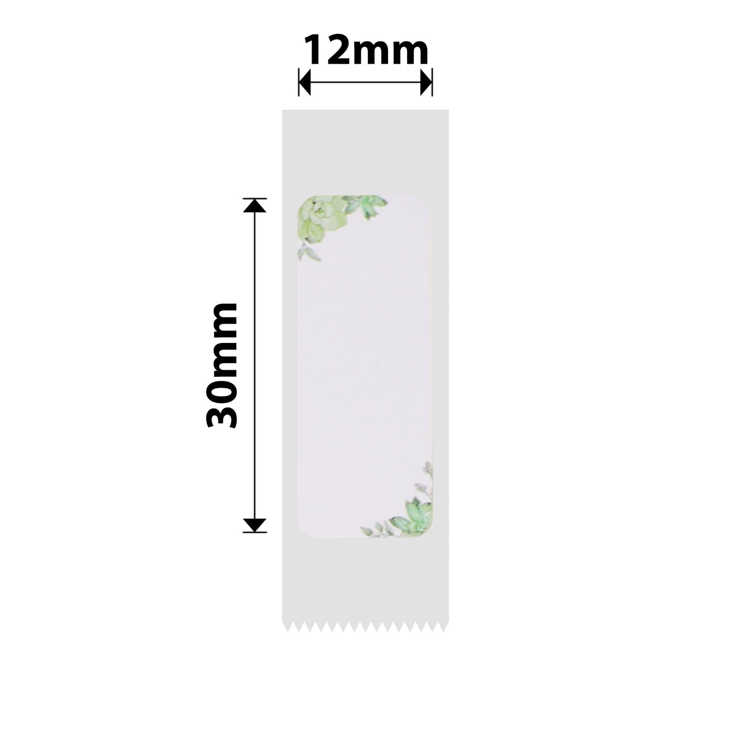 NB272 - NIIMBOT - D11 / D101 / D110 / H1S - R12X30MM - 210 LABELS PER ROLL - GREEN LEAVES DESIGN