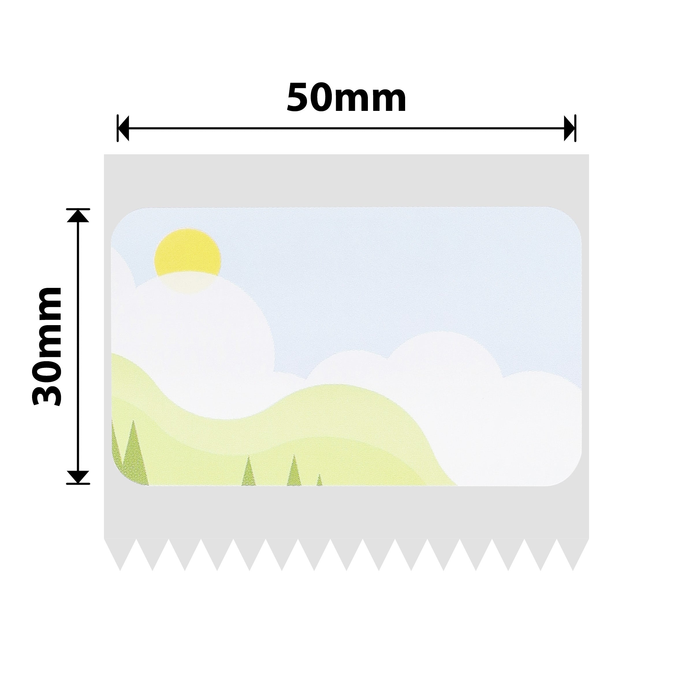 NB672 - NIIMBOT - B1 / B21 / B3S / B4 - T50X30 - 230 LABELS - SPRING SCENE