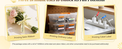 NB624 - NIIMBOT - N1 - BLUETOOTH SATIN RIBBON & LABEL PRINTER KIT INCL BOTH SETS - BEIGE