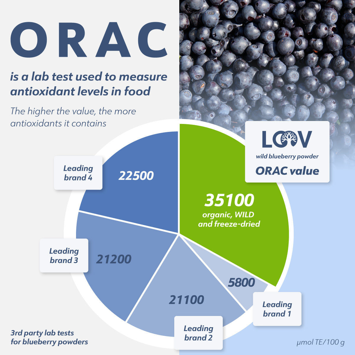 LOOV - ORGANIC WILD BLUEBERRY POWDER (FREEZE-DRIED) - 91G, 171G, 250G