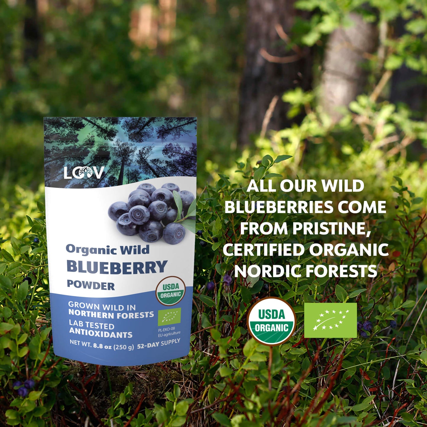 LOOV - ORGANIC WILD BLUEBERRY POWDER (FREEZE-DRIED) - 91G, 171G, 250G