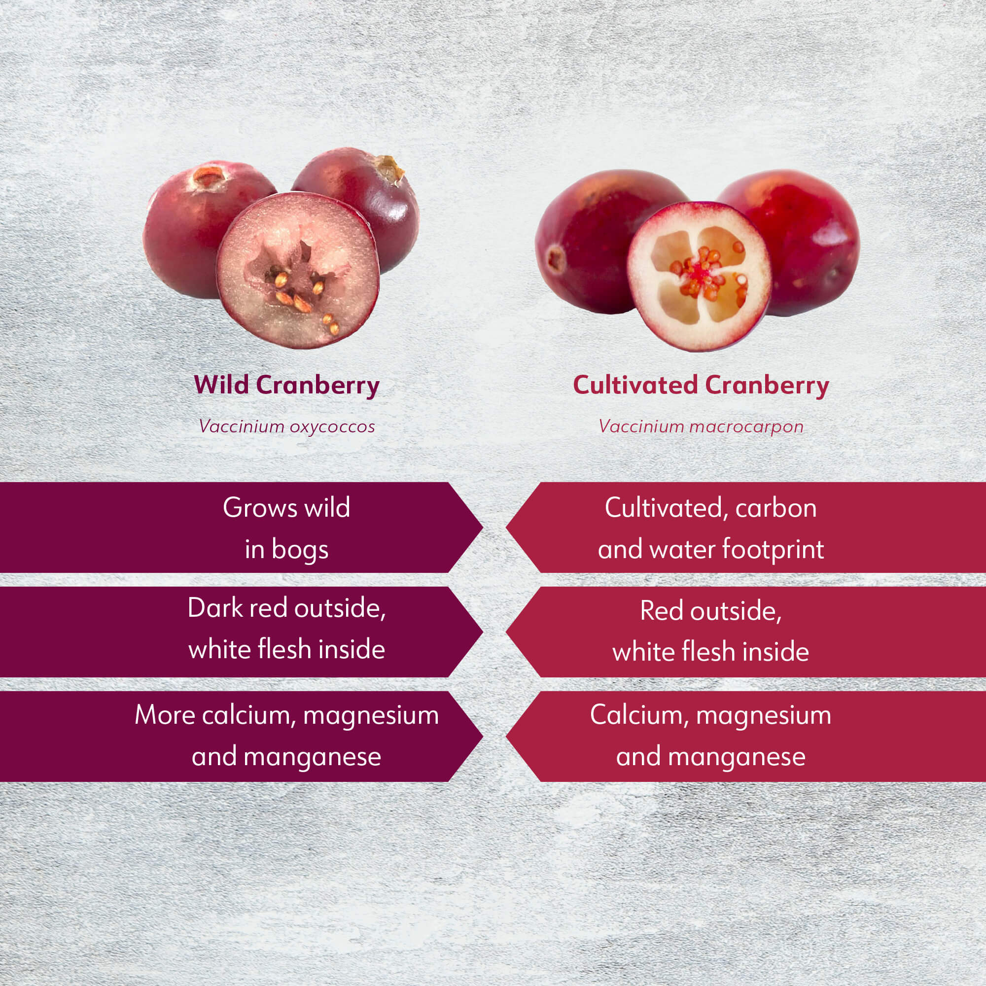 LOOV - ORGANIC WILD CRANBERRY POWDER (FREEZE-DRIED) - 91G