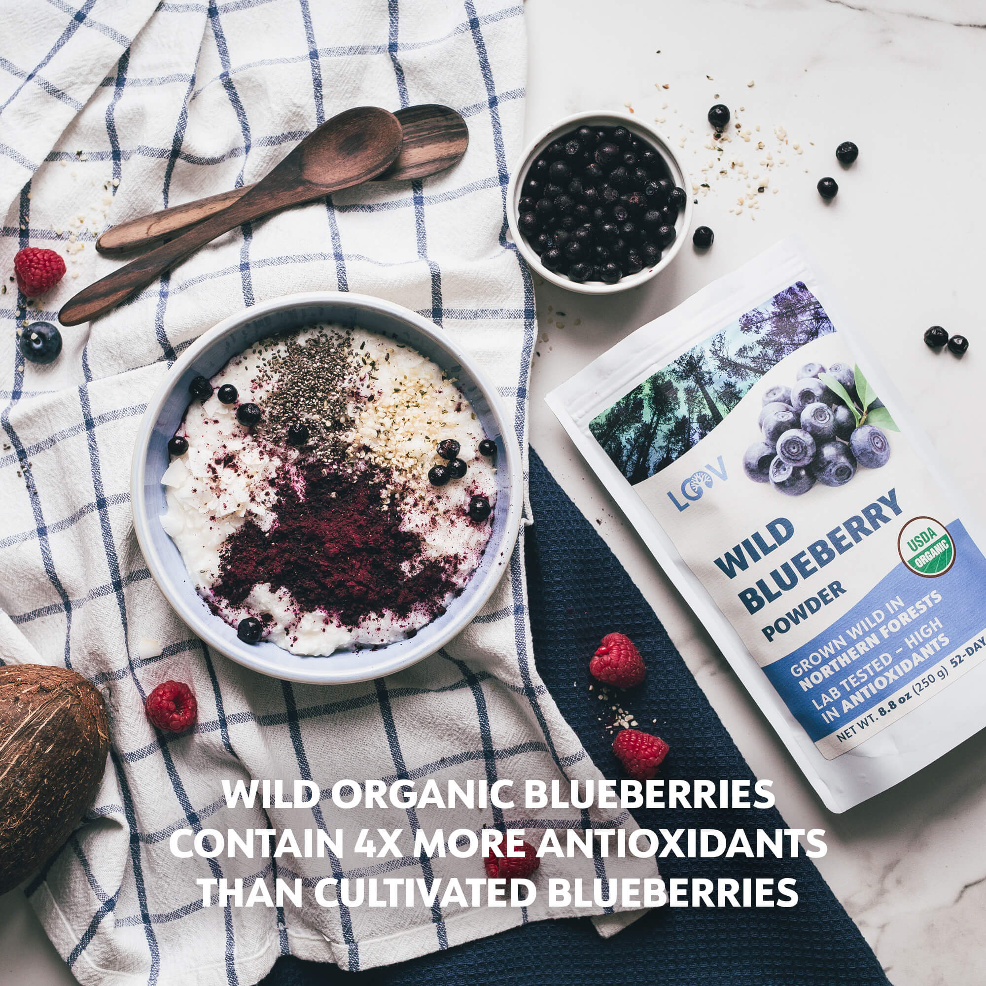 LOOV - ORGANIC WILD BLUEBERRY POWDER (FREEZE-DRIED) - 91G, 171G, 250G