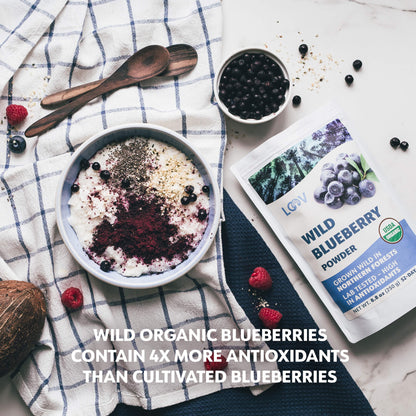 LOOV - ORGANIC WILD BLUEBERRY POWDER (FREEZE-DRIED) - 91G, 171G, 250G
