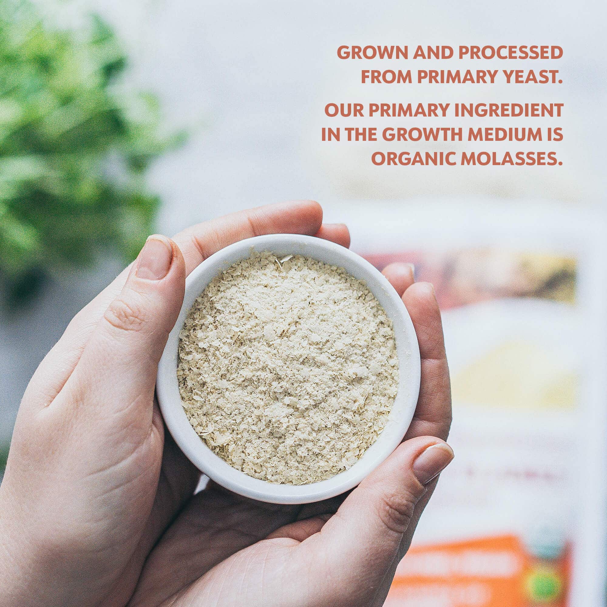 LOOV - ORGANIC NON-FORTIFIED NUTRITIONAL YEAST FLAKES - 227 GRAMS